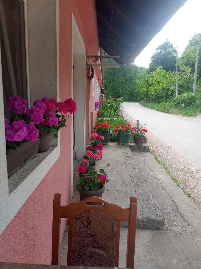 Valja Mare Moma Apartment Golubac Exterior photo