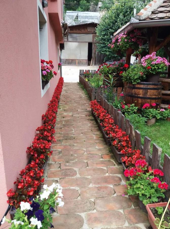 Valja Mare Moma Apartment Golubac Exterior photo