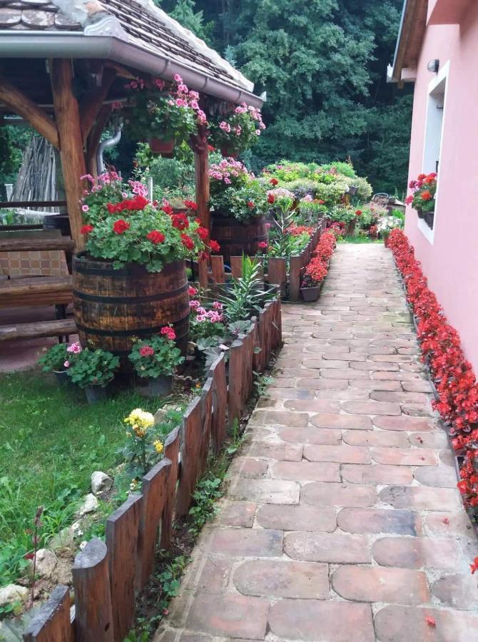 Valja Mare Moma Apartment Golubac Exterior photo